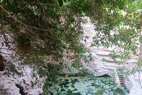 Delhi: Northern Ridge Walk with Tibetan Colony Tour