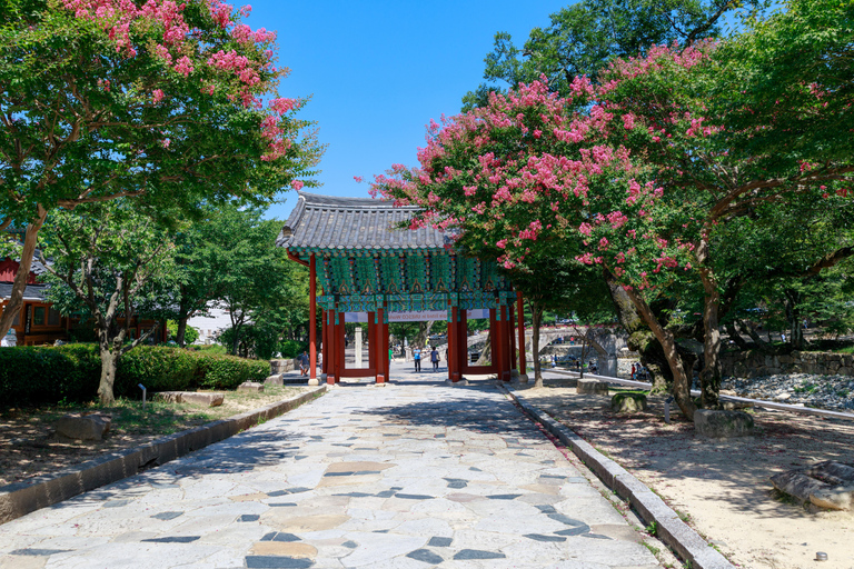 Busan: Discovery Tour With Snow &amp; UNESCO Spot