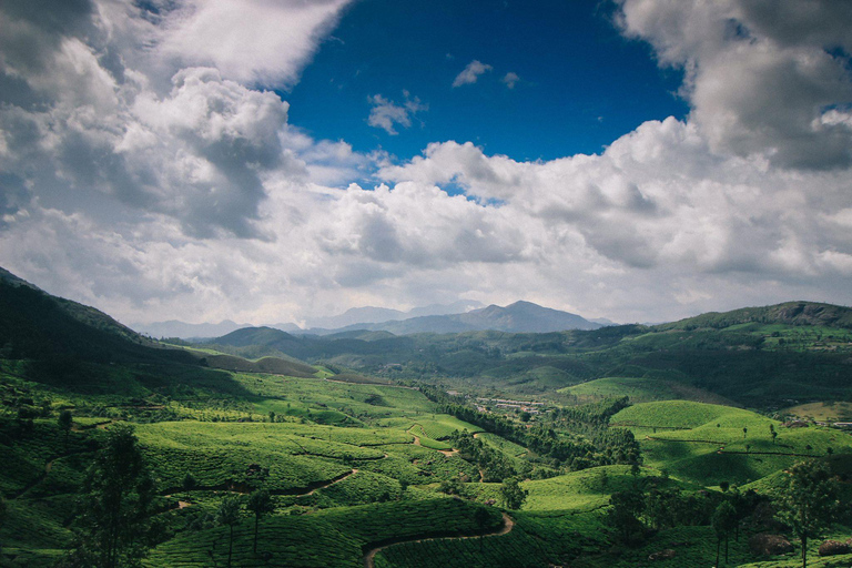 Erlebe die landschaftlichen Wunder und kulturellen Schätze von Kerala