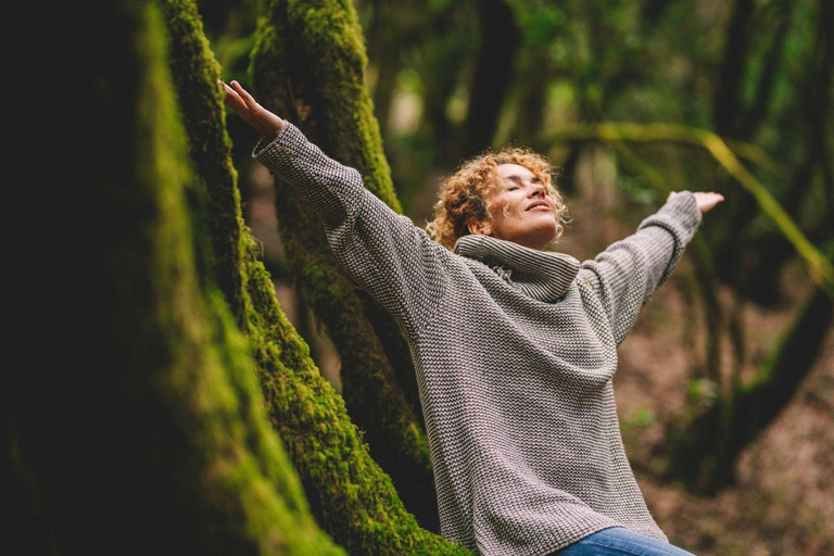 Tour di un giorno della città di Auckland e della foresta pluviale in macchina