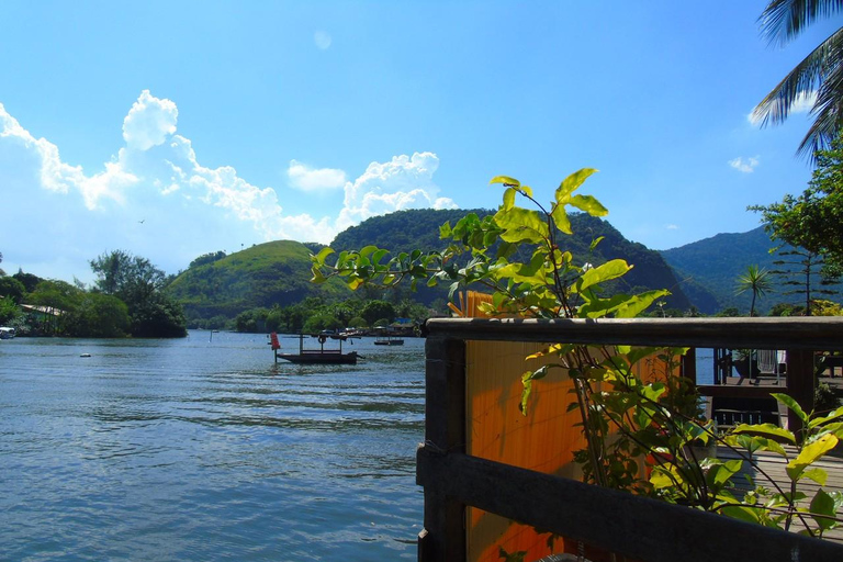 Rio de Janeiro: Half-Day Boat Tour in Marapendi Lagoon