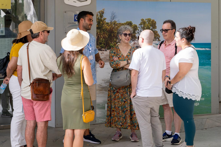 Malaga Walking Tour, Roman Theater and Alcazaba in small group with Tickets Malaga Walking Tour, Roman Theater and Alcazaba in Small Group with Tickets