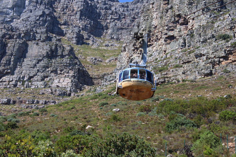 Cape Town: Table Mountain, Bo-Kaap, & Boulders Beach Tour