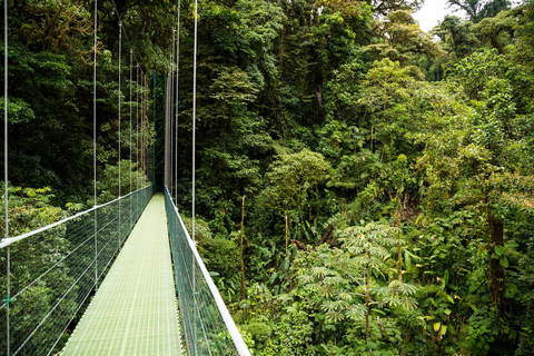 From San José: Sarapiquí Zipline, Horse Ride & Lunch
