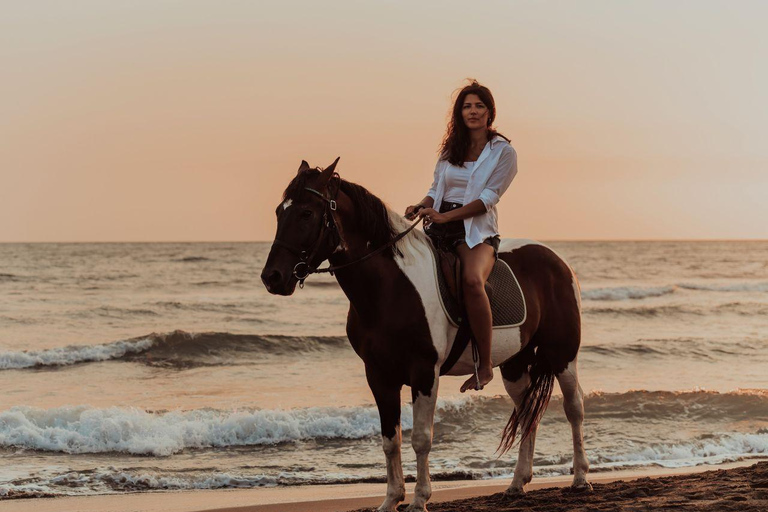 Horse Riding With Optional Sunrise & Red Sea Desert Hurghada {VIP} Horse Riding 4 Hours – With Swim Stop Only
