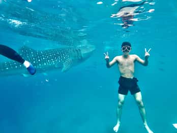 Oslob Whale Shark Direct