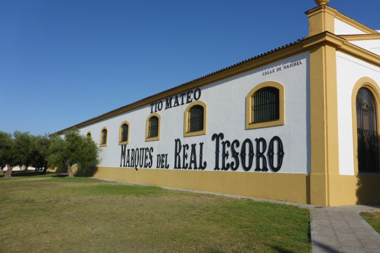 Ab Sevilla: Tour durch Jerez mit Pferdeshow & WeinprobeTour durch Jerez mit Pferdeshow und Weinprobe - Spanisch