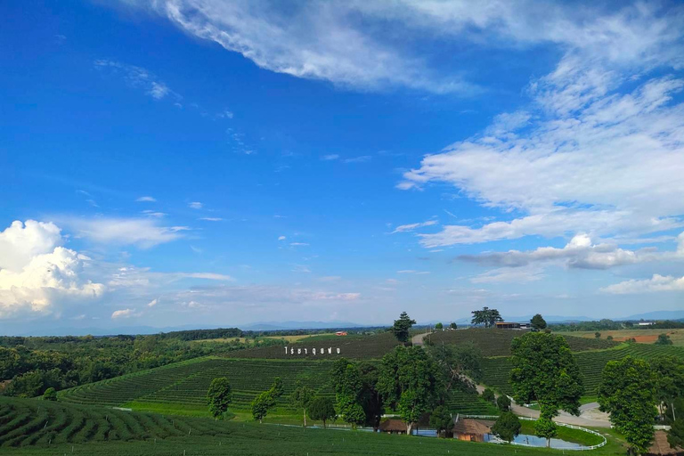 Chiang Rai: Northern Thailand Tour with Golden Triangle