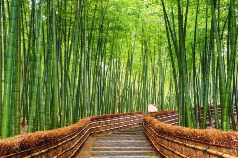 大阪/京都：京都和奈良私人定制一日旅行