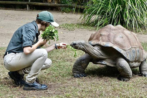 Zanzibar: Red Monkeys Forest Tour, Butterfly & Reptile Park. This option, No Hotel Pickup.