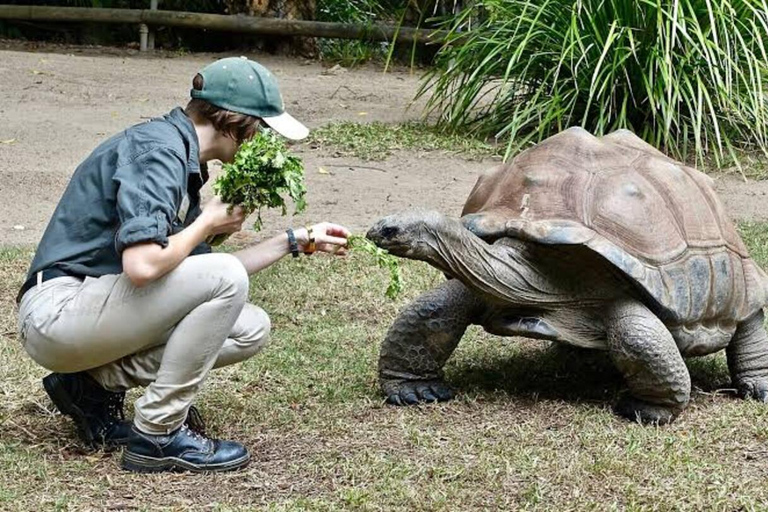 Zanzibar: Red Monkeys Forest Tour, Butterfly & Reptile Park. This option, No Hotel Pickup.