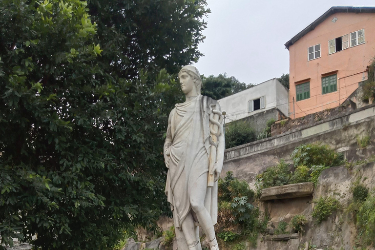 أفريقيا الصغيرة - جولة سيرًا على الأقدام من الماضي إلى المستقبلأفريقيا الصغيرة - جولة سيراً على الأ