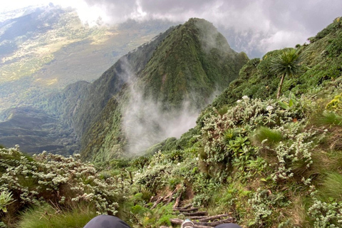 Rwanda 1 Day Mount Sabyinyo Hiking Adventure