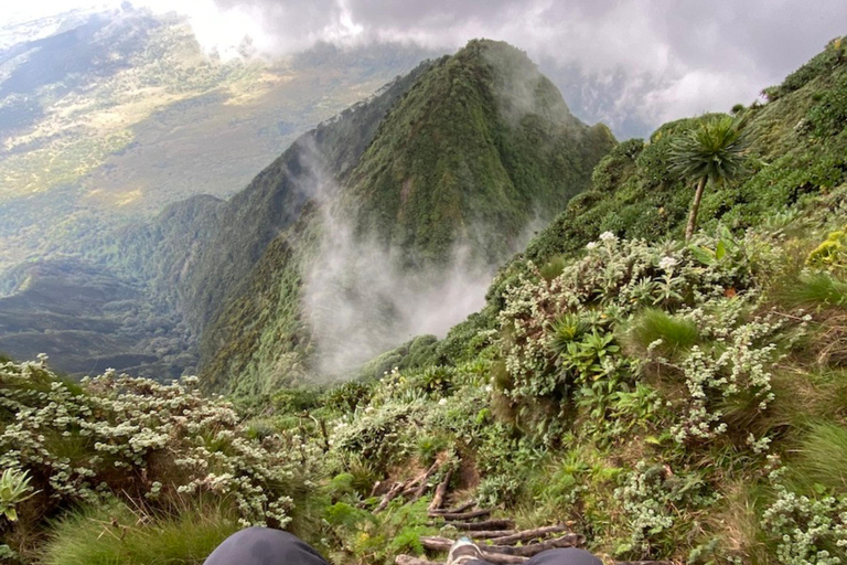 Rwanda 1 Day Mount Sabyinyo Hiking Adventure