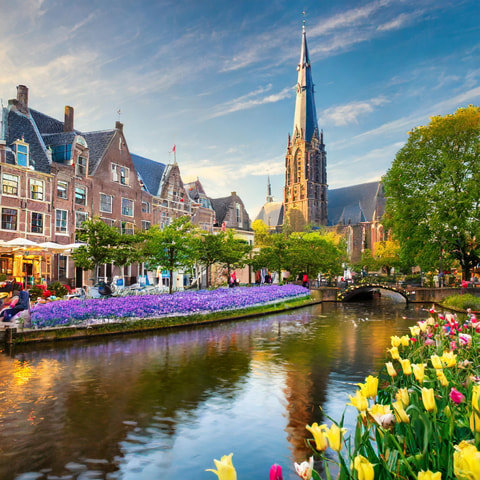 From Amsterdam: Delft and The Hague Private Day Tour