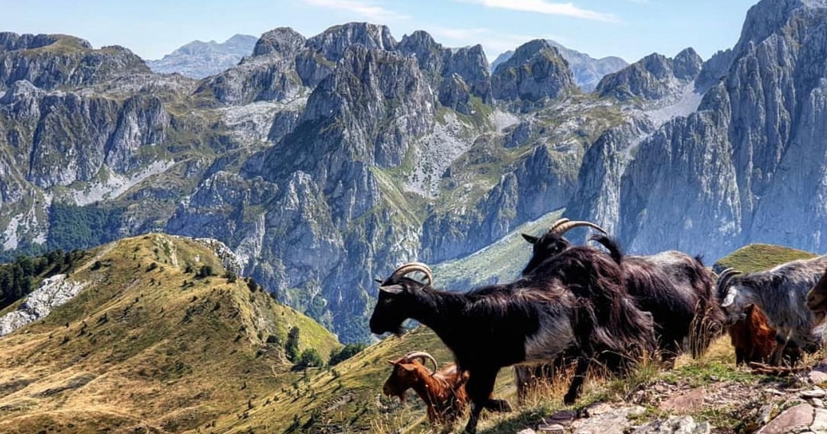 Excursion à Vermosh et dans les Alpes albanaises GetYourGuide