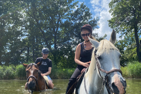 جولة لركوب الخيل بالقرب من براغجولة ركوب الخيل بالقرب من براغ