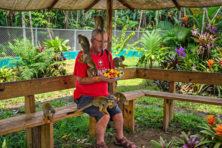 Monkeys & Cultural Plantation with Transport Monkey Adventure Without Transportation