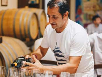 Lecce: tour della cantina Negroamaro Lands con degustazione di vini