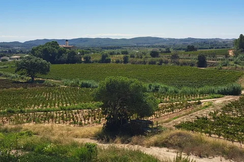 Barcelona: Paseo a Caballo por los Viñedos del Penedès con Cata de Vinos