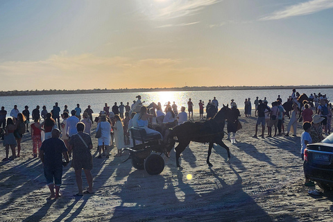 杰尔巴岛幻想曲：泻湖2小时传统马术表演