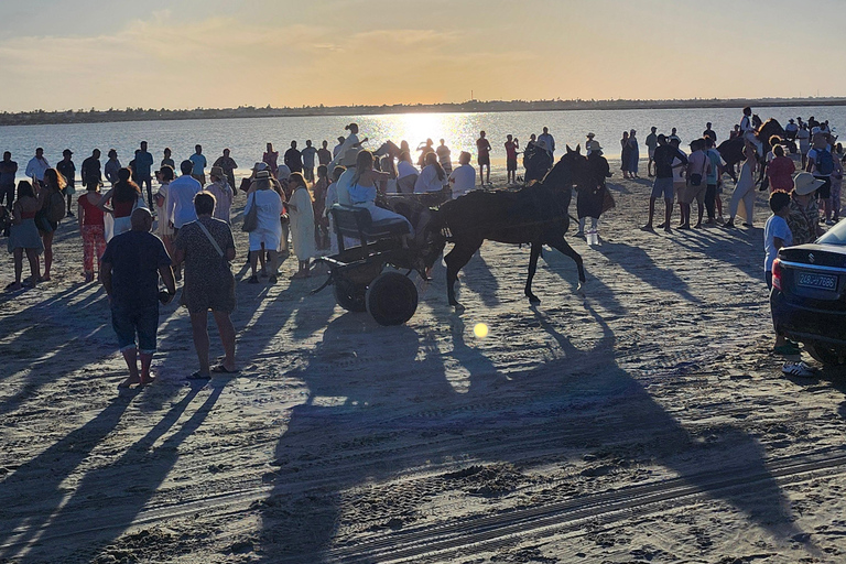 杰尔巴岛幻想曲：泻湖2小时传统马术表演