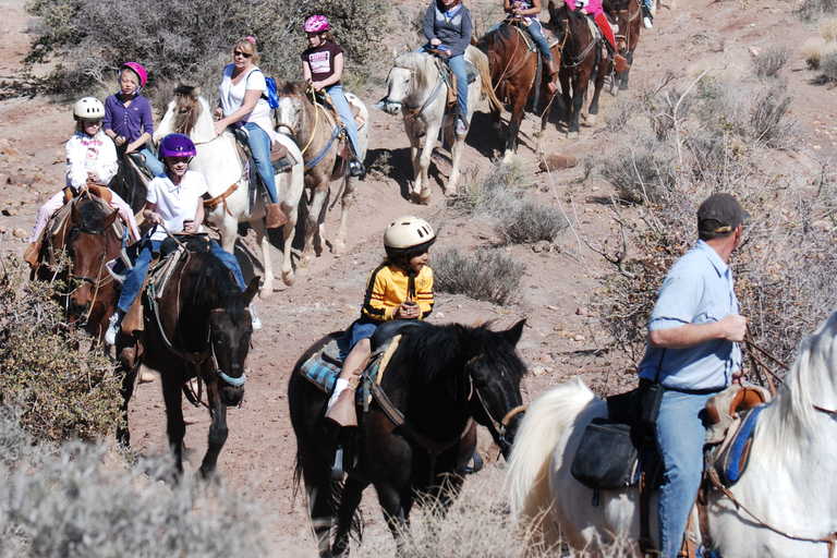 Desde Las Vegas: Maverick Ranch El desayuno y la CabalgataOpción estándar