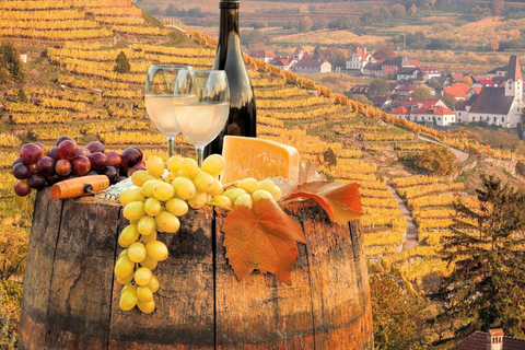 Vienna: Surroundings Sip & Savor Tour