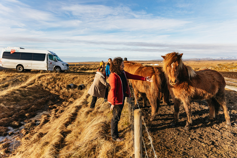 Reykjavik: Silver Circle, Canyon Baths en watervallen Tour