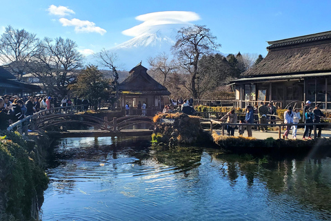 Viaje de 3 días a Tokio, el Monte Fuji y Hakone