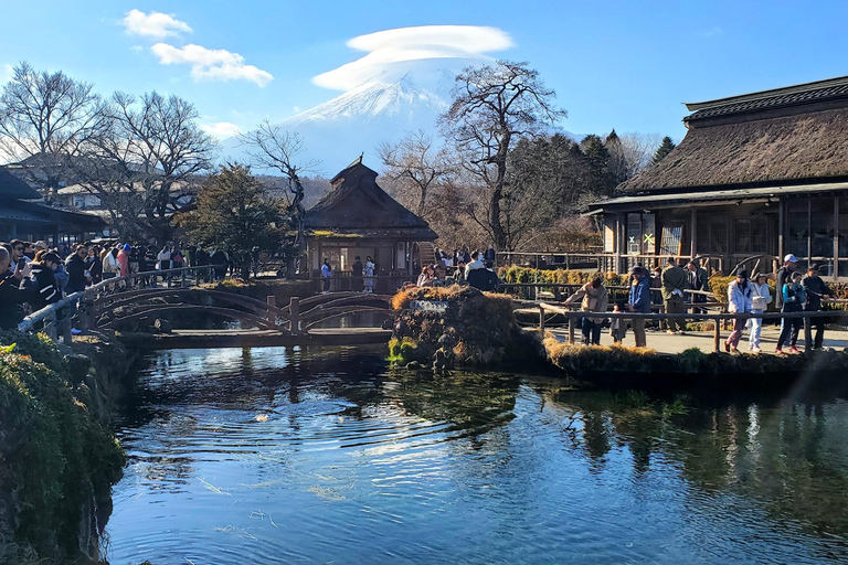 Viaje de 3 días a Tokio, el Monte Fuji y Hakone