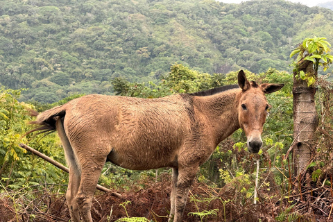 Ruta alternativa de 3 días por la Ciudad Perdida