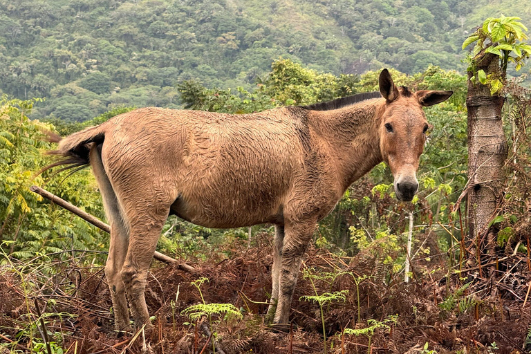 Ruta alternativa de 3 días por la Ciudad Perdida