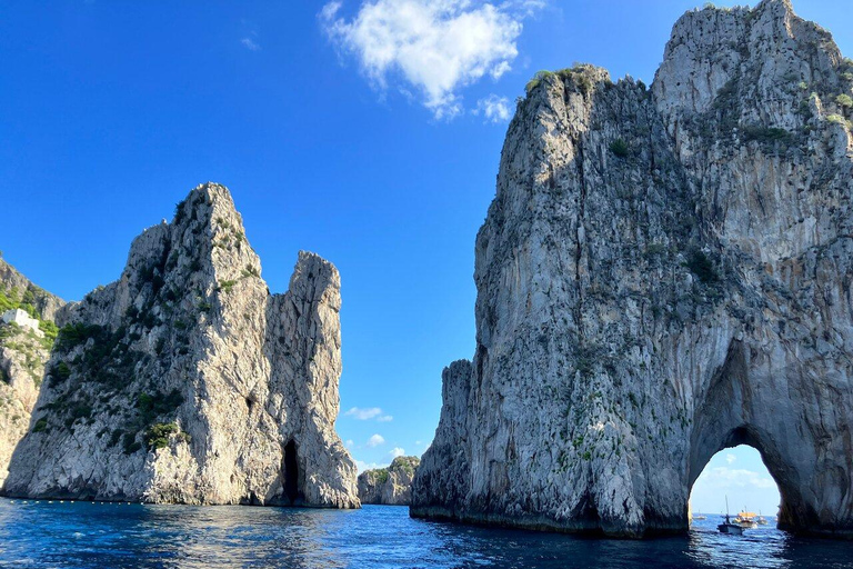 Private Boat tour of one day on a Private Apreamare 10 Ischia & Procida