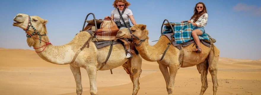 Timimoun : balade à dos de chameau dans le Sahara avec dîner et spectacle musical
