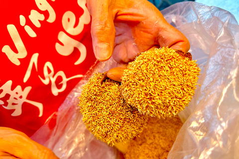 Taipei Ningxia Night Market Food Walking Tour（incl. 10 Food） Private Tour