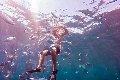 Snorkel de día completo en la Isla Catalina + Almuerzo desde Punta CanaRecogida en hoteles y Airbnb en Punta Cana