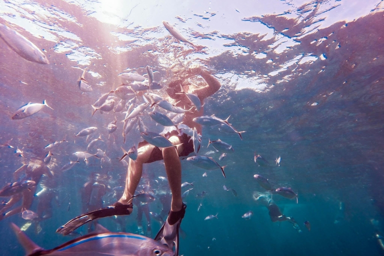 Snorkelen en lunchen op Catalina eiland vanuit Punta CanaOphaalservice vanaf je hotels & Airbnb's in Cap Cana