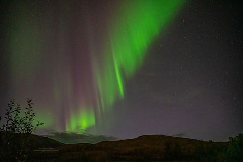 Tromsø:Northern Lights Tour with Photo and Suits.Local Guide Tromsø: Northern Lights Tour with Photos and Warm Suits