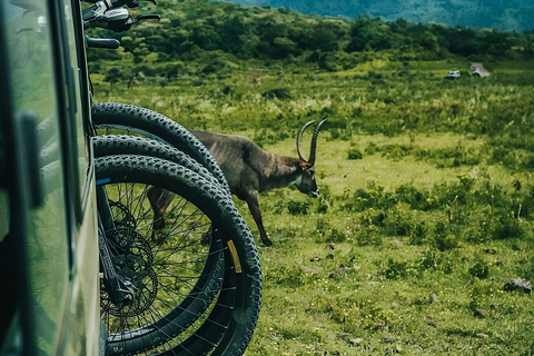 Arusza: safari rowerowe w parku narodowym