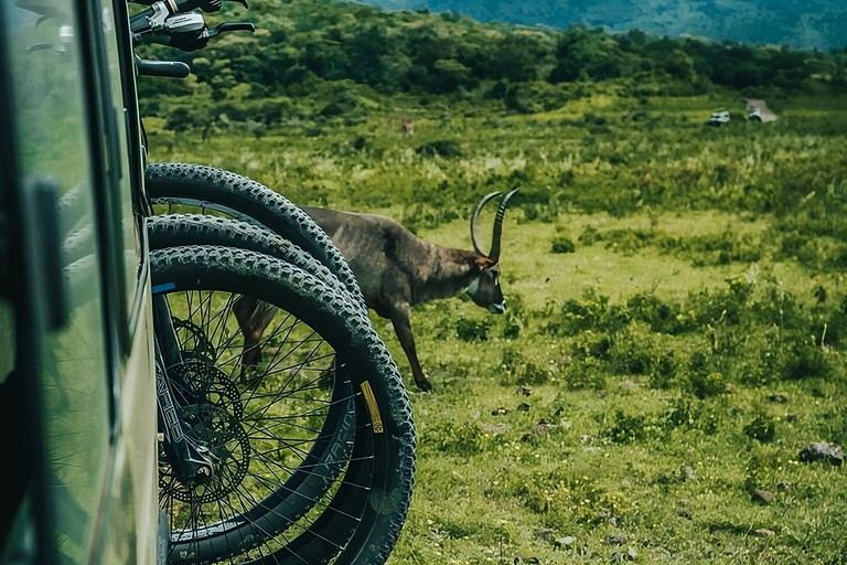 Arusha : Safari à vélo dans le parc national