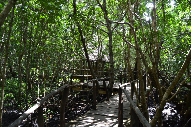 3 hours Jozani Monkey Spotting and Mangroves walking Tours