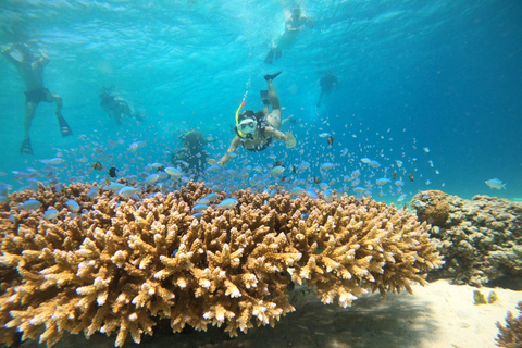 Au départ de Bali : Excursion privée de plongée en apnée aux îles GiliVisite privée de 4 heures de plongée en apnée avec GoPro (lieu de rendez-vous)