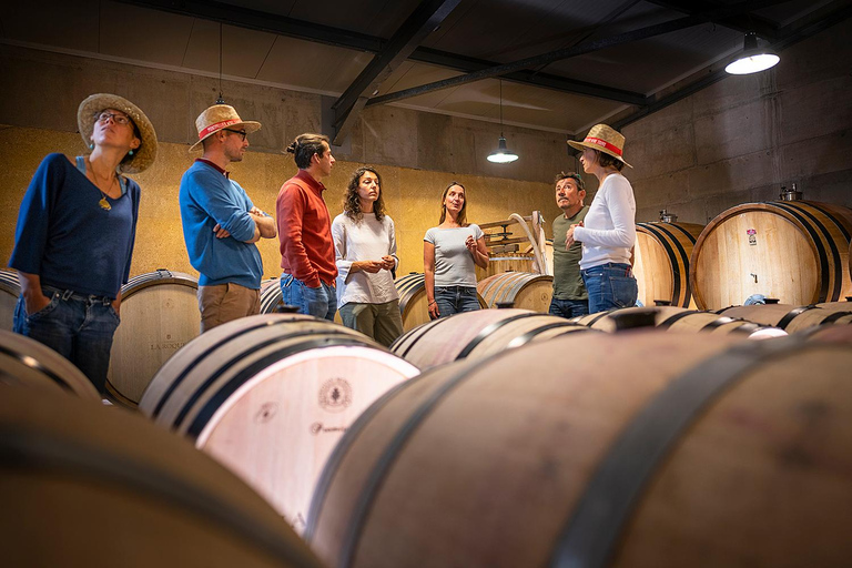 Pic Saint-Loup : Visite d&#039;une jounée sur le thème du vin et de l&#039;olive