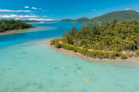 Airlie Beach: Half Day Island Kayak Tour with Snorkeling Inner Island Kayak Tour with Snorkeling