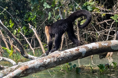 مدينة بنما: رحلة نهارية إلى جزيرة القرود وقناة بنما لمشاهدة IMAX