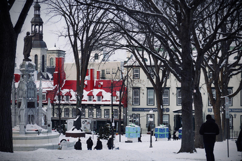 Québec City: Guided Fat Bike Tour with Hot Chocolate