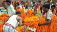 Guided Private Tour of City of Joy -Kolkata - Housity