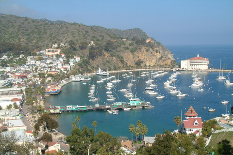 Excursión por la ciudad de la Isla Catalina y el monte Ada