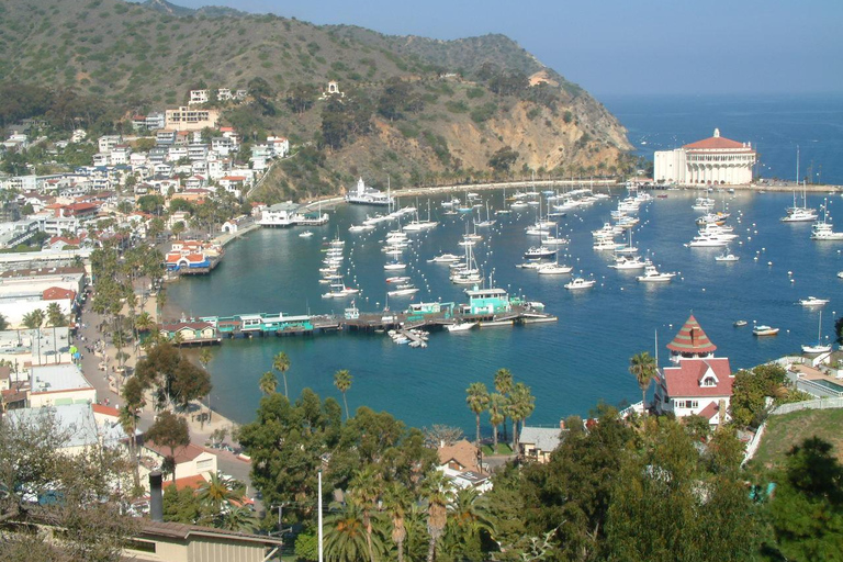 Excursión por la ciudad de la Isla Catalina y el monte Ada